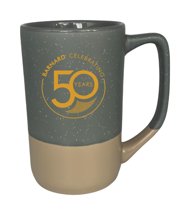 4094 Two-Tone Boulder Mug